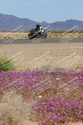 media/Mar-12-2023-SoCal Trackdays (Sun) [[d4c8249724]]/Turn 15 Inside Bloom (130pm)/